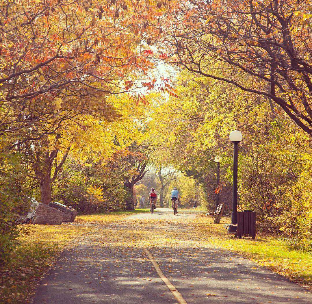 Experience the charms of the Capital Region with these 15 fall activities