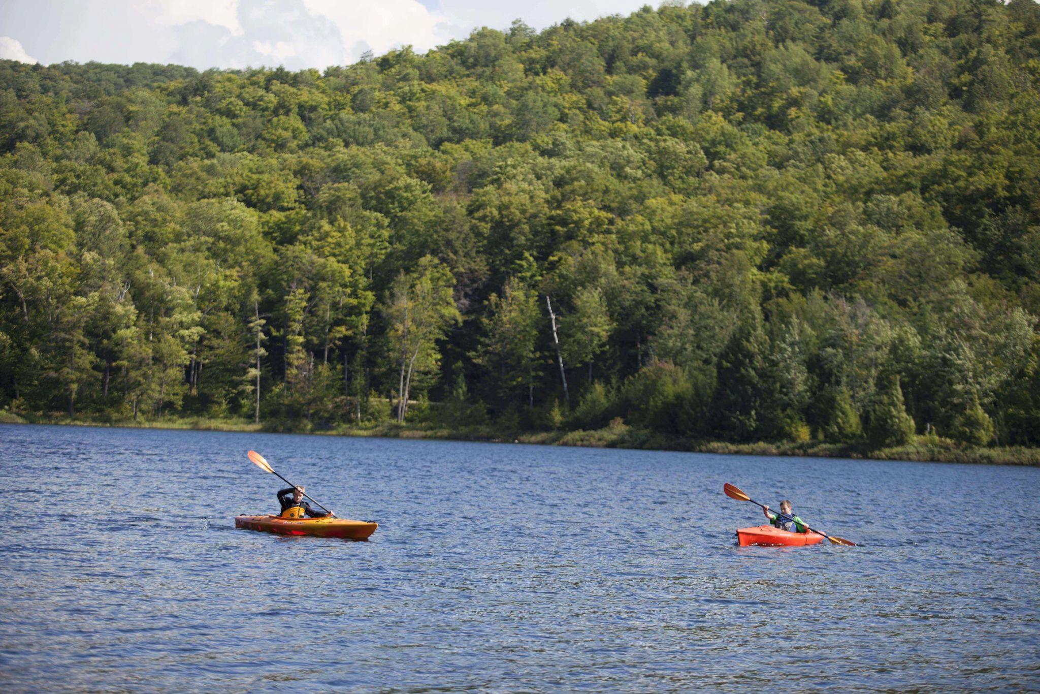 Summer in Gatineau Park