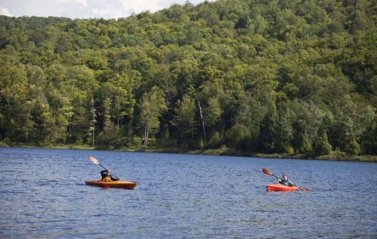 Summer in Gatineau Park