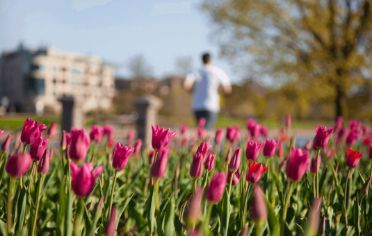 Trois activités de plein air à faire ce printemps