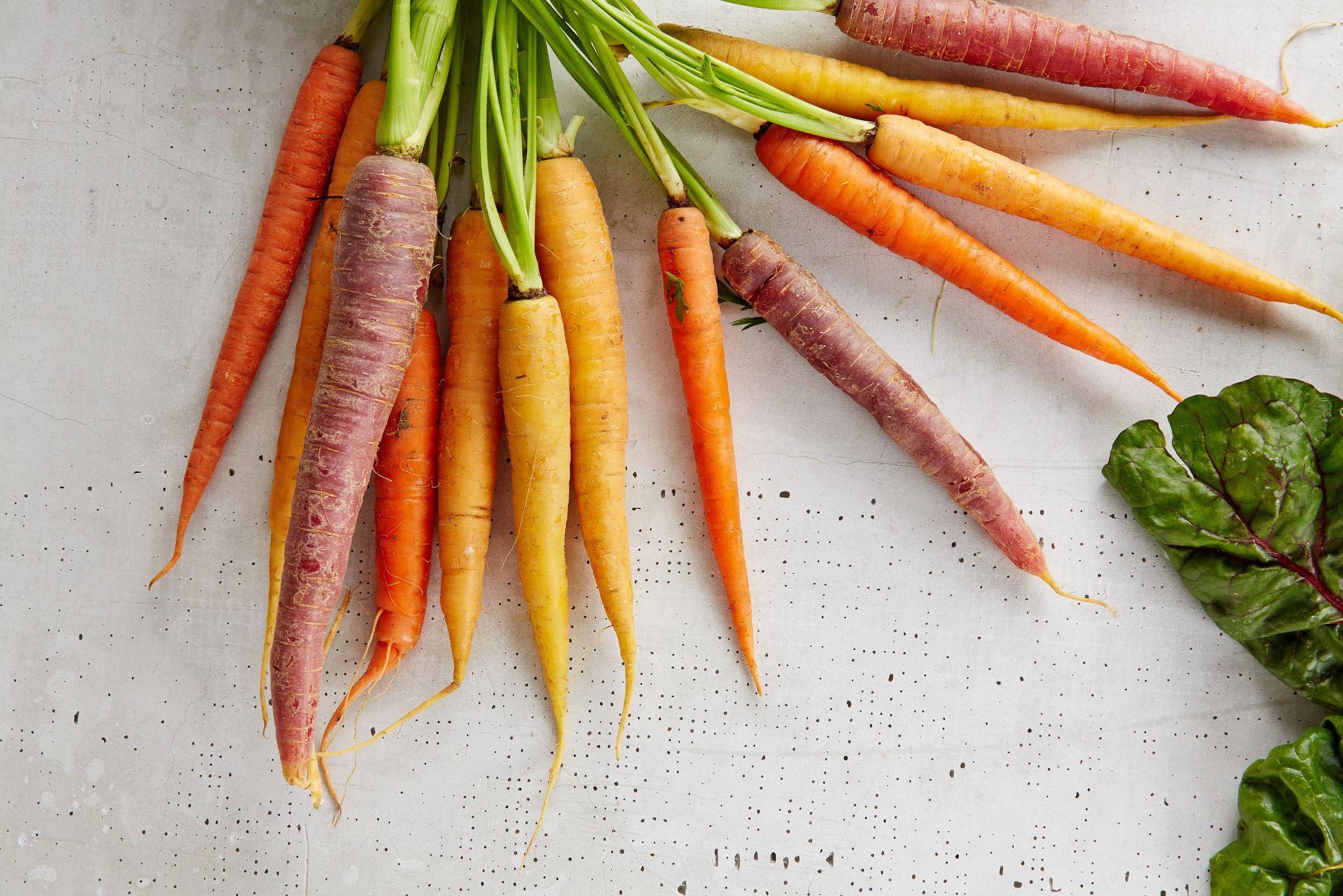 Farm Fresh: Taste Canada’s Capital Greenbelt
