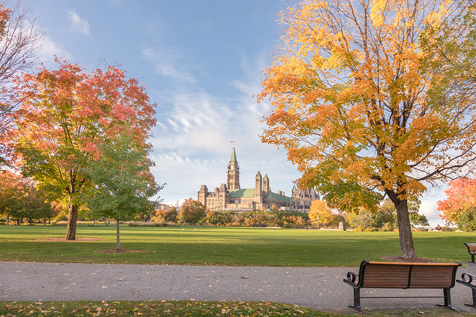 Major’s Hill Park during Fall Rhapsody. Benches and trees with orange leaves in the foreground and the Peace Tower in the background.
