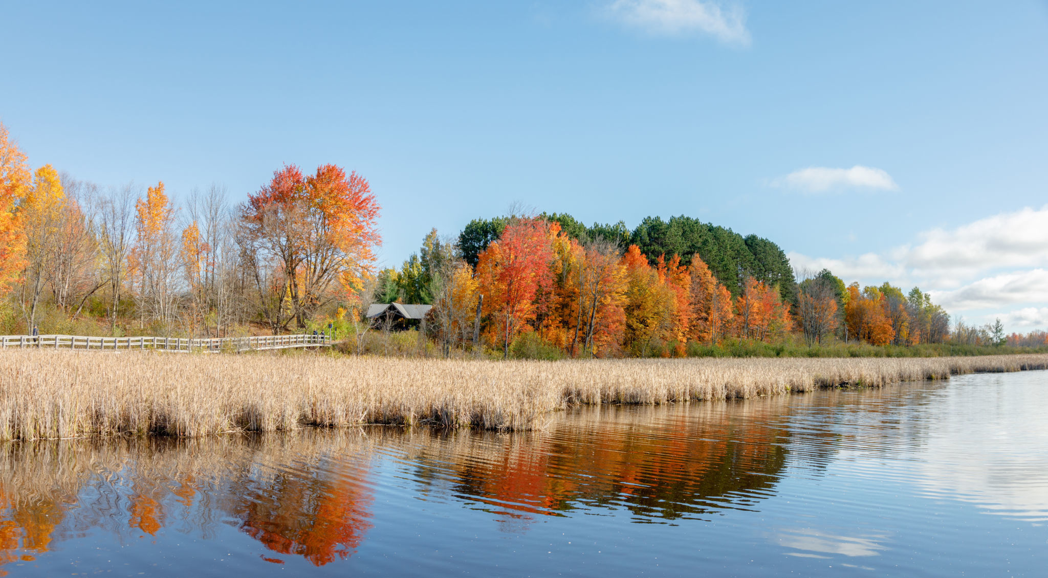 Fall foliage with a body of water