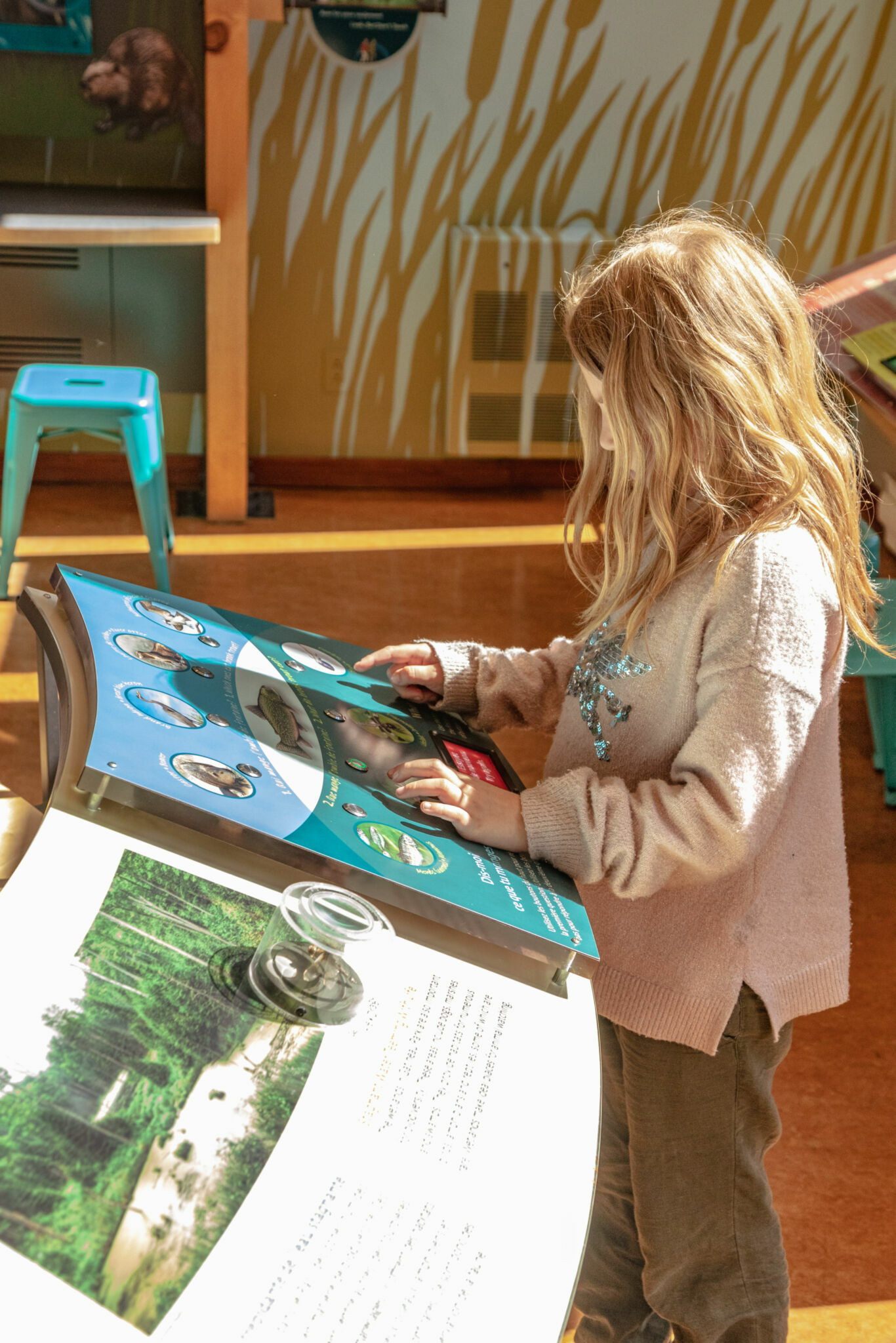 Enfant interagissant avec l'exposition du centre des visiteurs du parc de la Gatineau