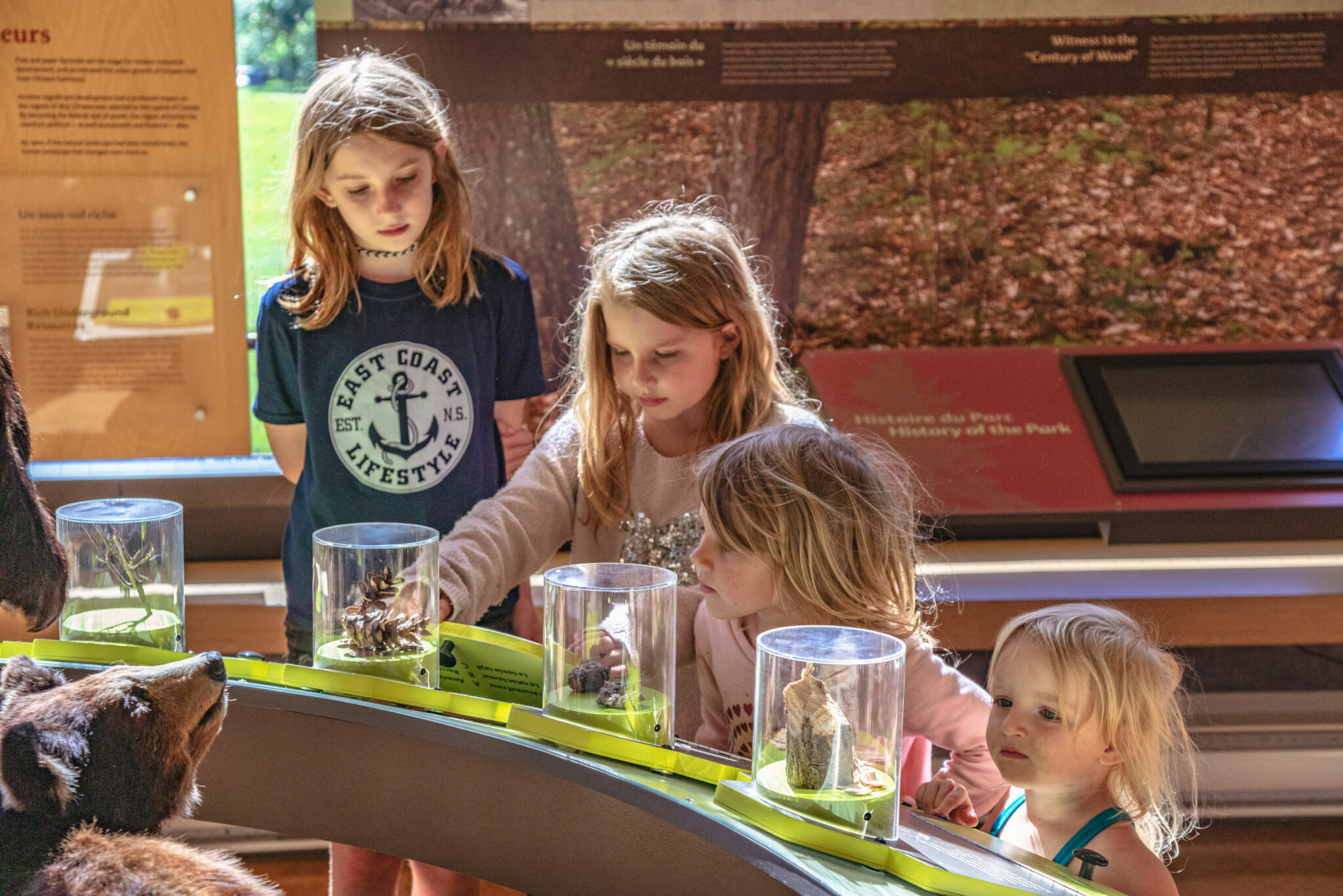Quatre enfants interagissant avec l'exposition du centre des visiteurs du parc de la Gatineau