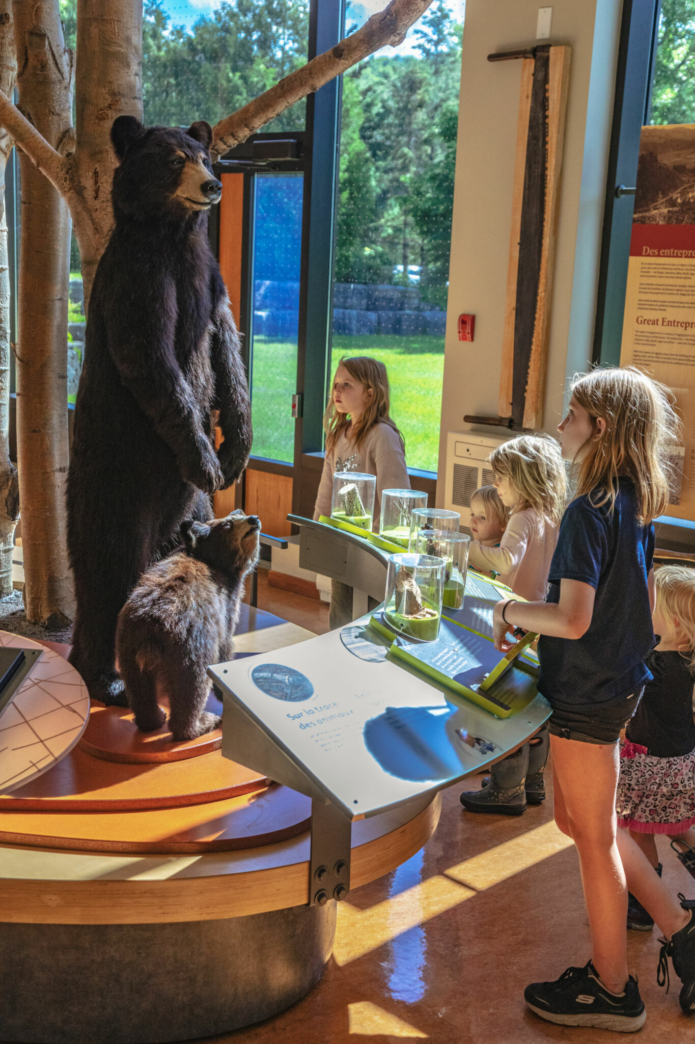 Child interacting with the Gatineau Park Visitor Centre exhibit
