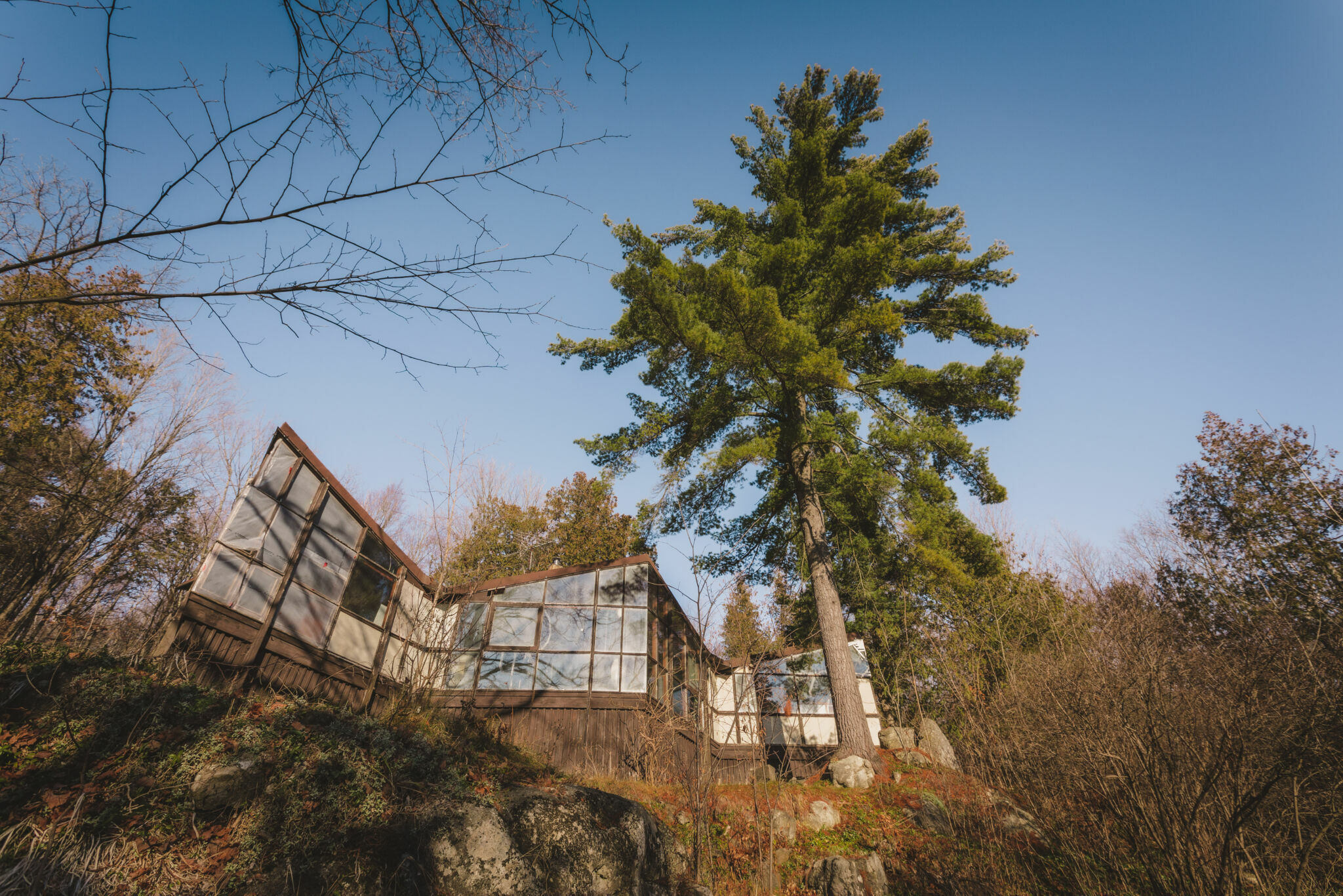 Tall tree in front of a geometrically shaped house in a rocky setting.