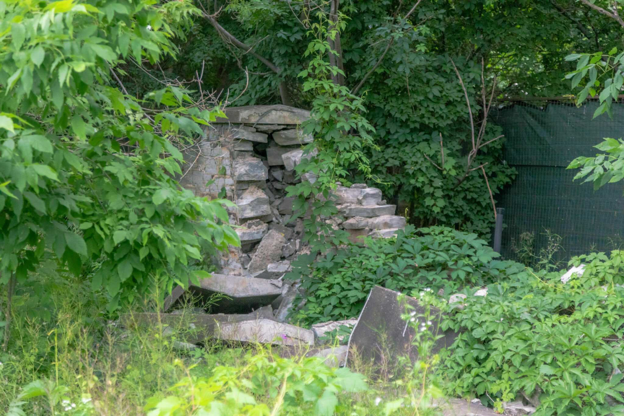 Collapsed limestone masonry wall at Maplelawn Garden
