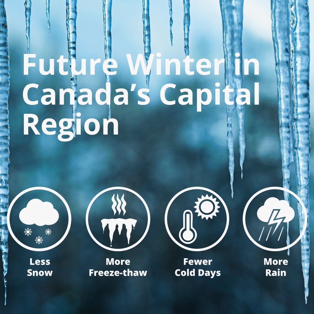 The 2020 climate projections study predicts that future winters in the National Capital Region will see less snow, more freeze-thaw, fewer cold days and more rain.