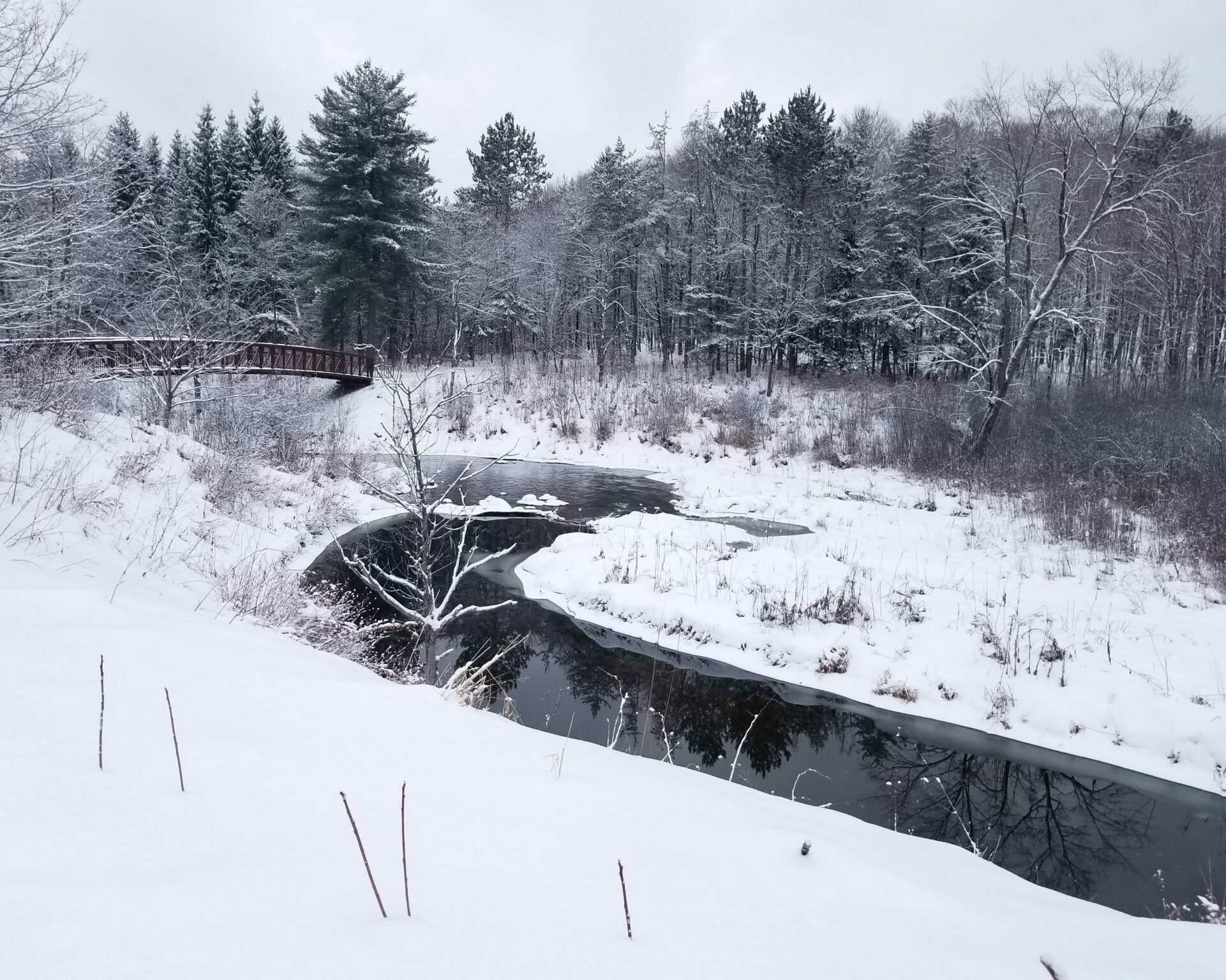 Ruisseau sinueux dans un paysage enneigé, près du Centre des visiteurs du parc de la Gatineau.