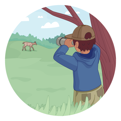 Restez à bonne distance de la faune.
