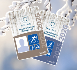 Collage des laissez-passer saisonniers 2025-2026