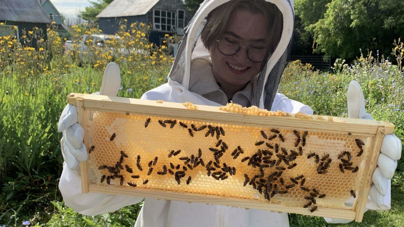 Une jeune fille en uniforme tenant un rayon de ruche d'abeilles