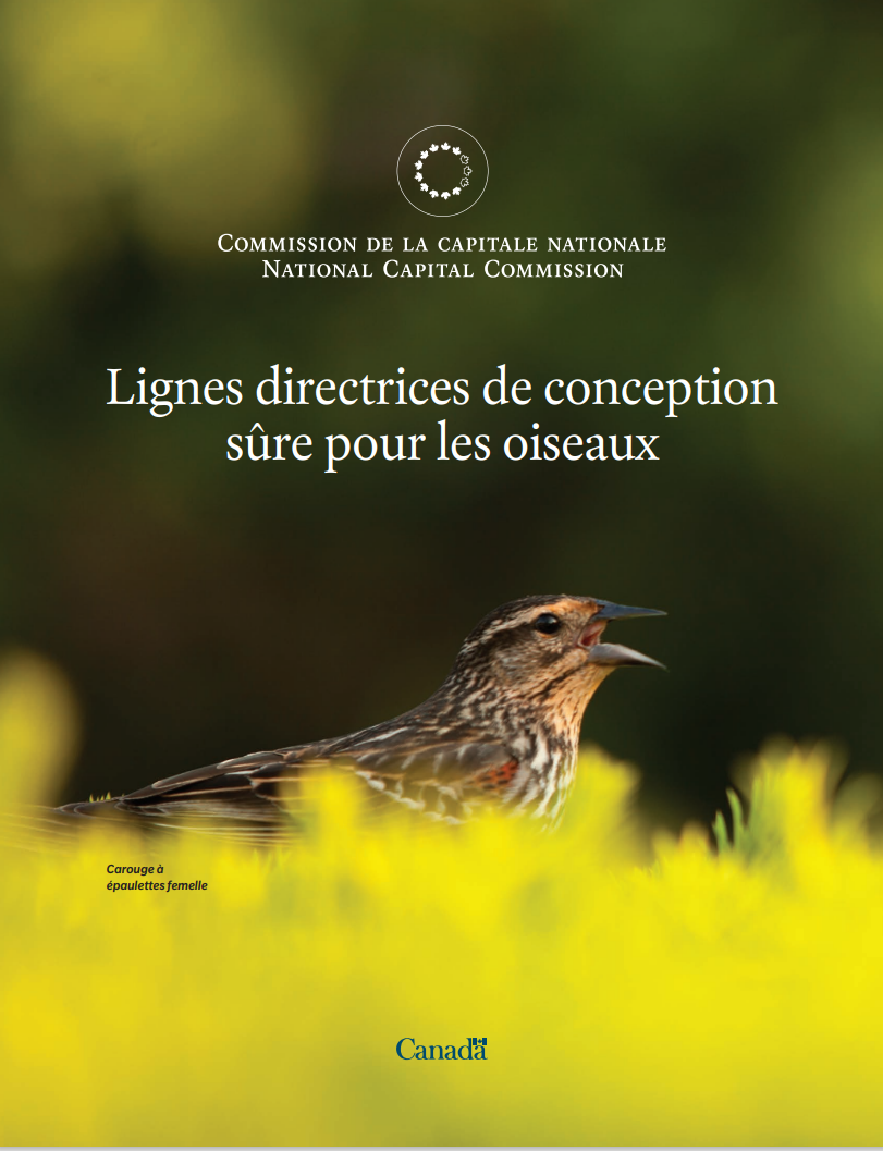 Page couverture des Lignes directrices de conception sûre pour les oiseaux