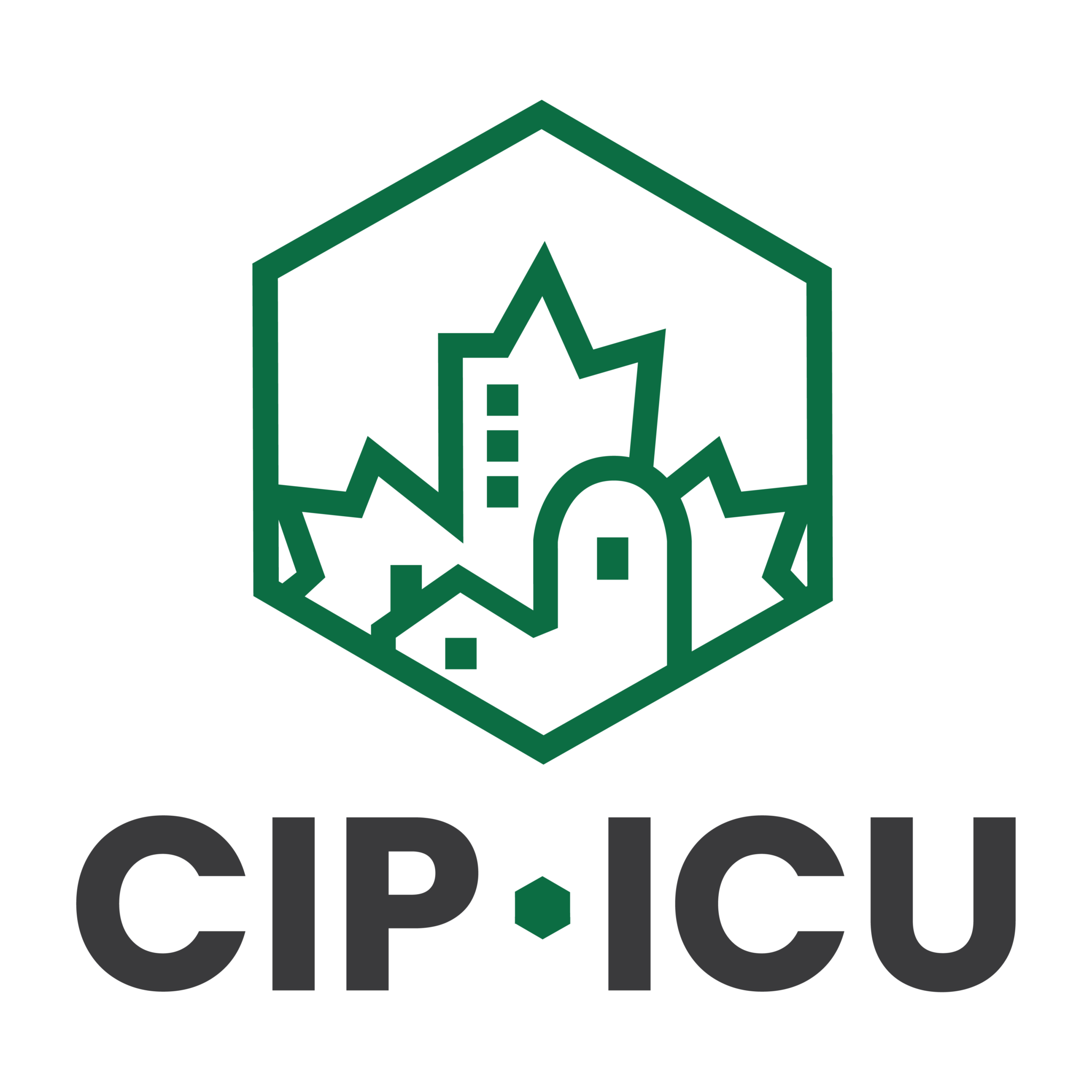 CIP logo