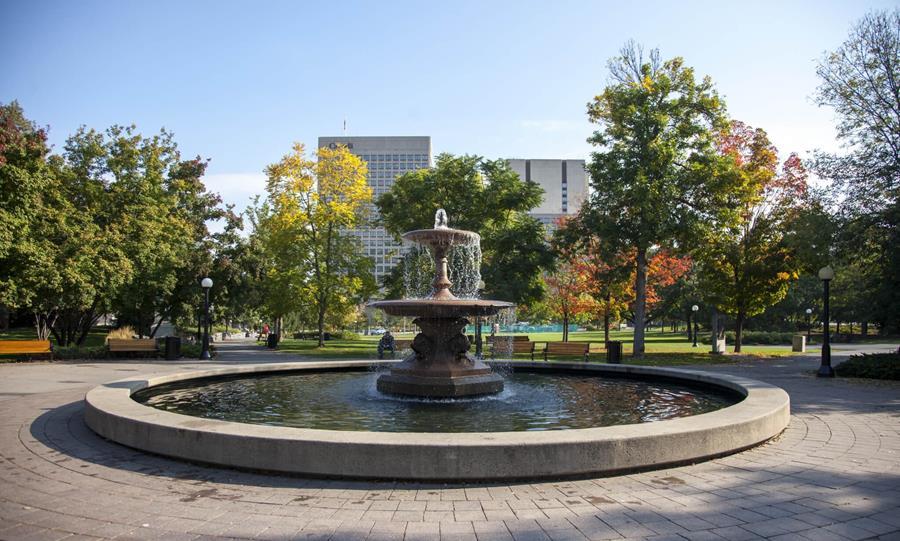 park fountain