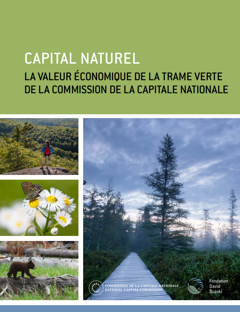 Couverture de l'étude