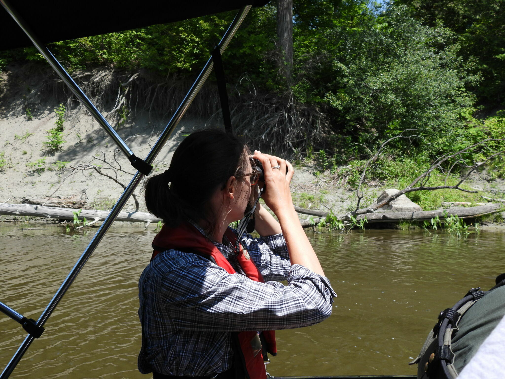 Biologist observing through binoculars