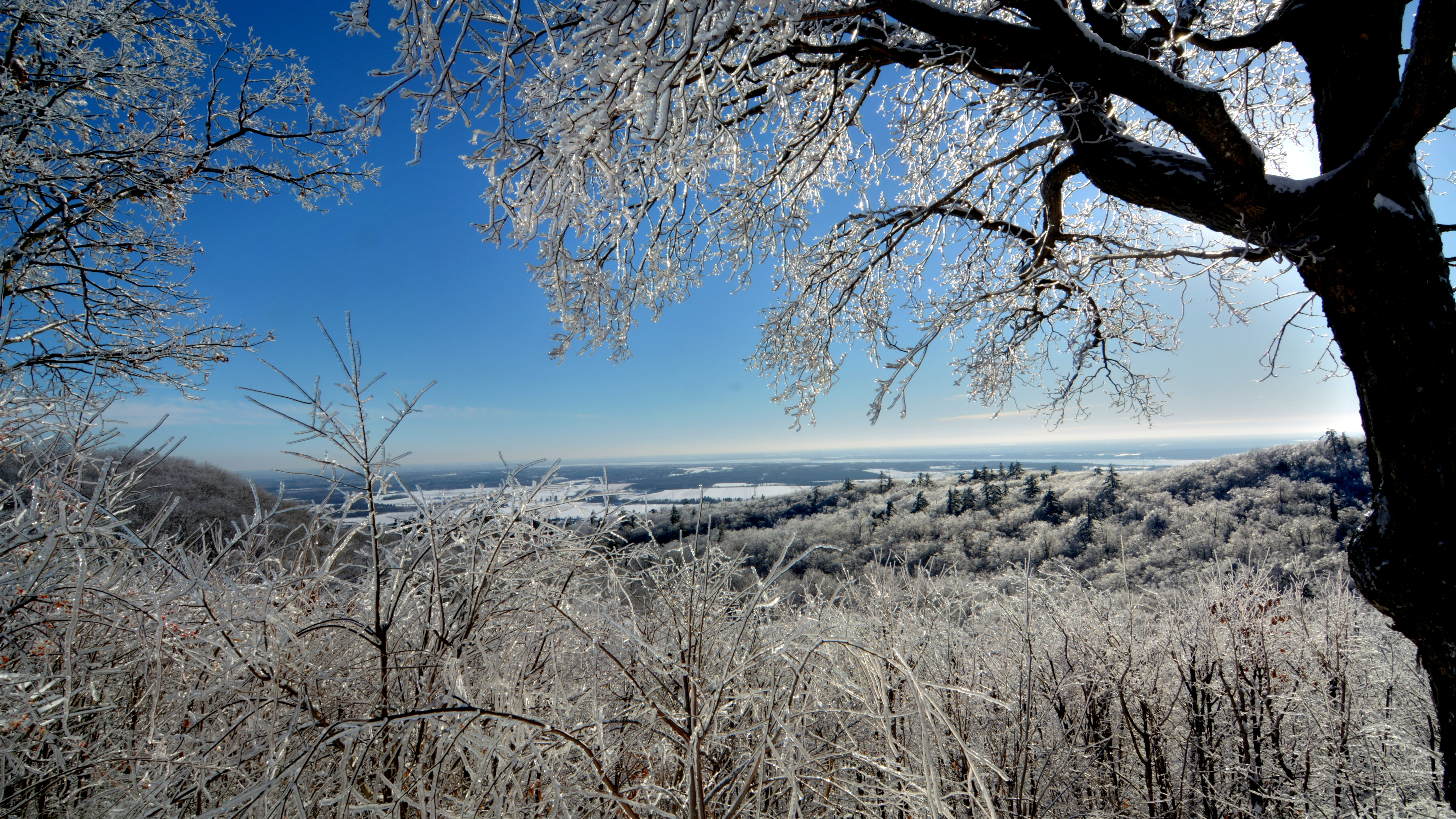 A view of Gatineau Park in winter