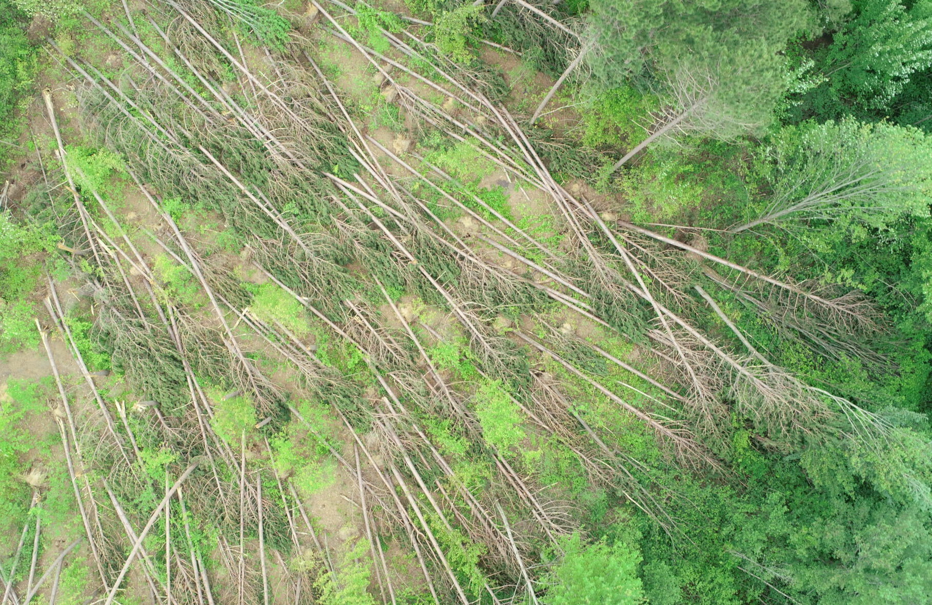 Aerial view of the damage following the derecho storm in May 2022