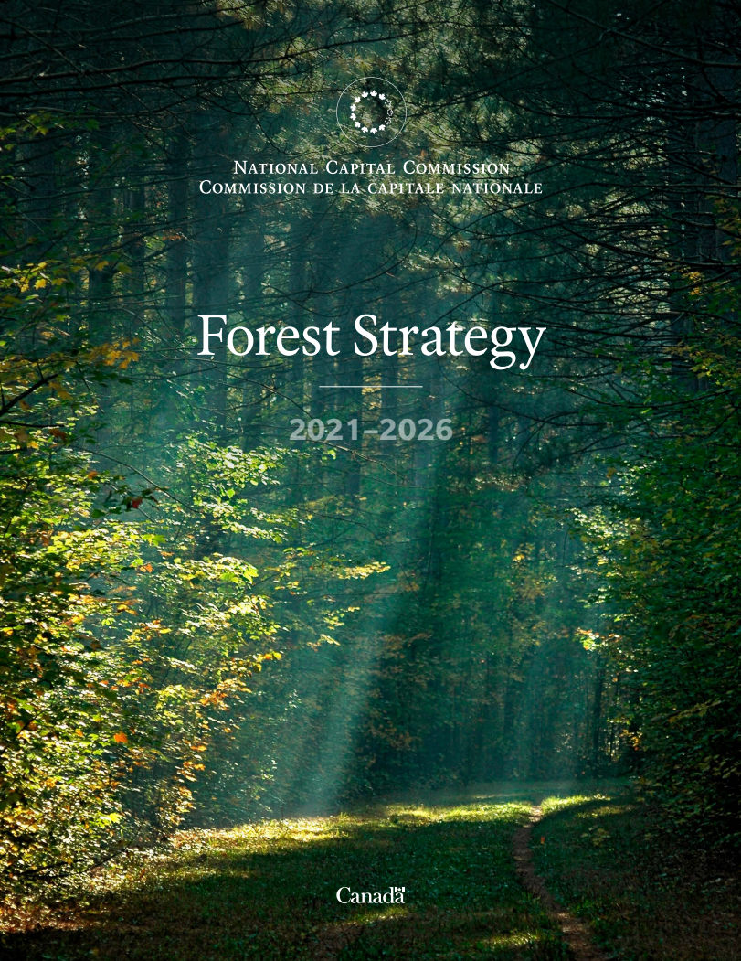 Forest Strategy Cover Page