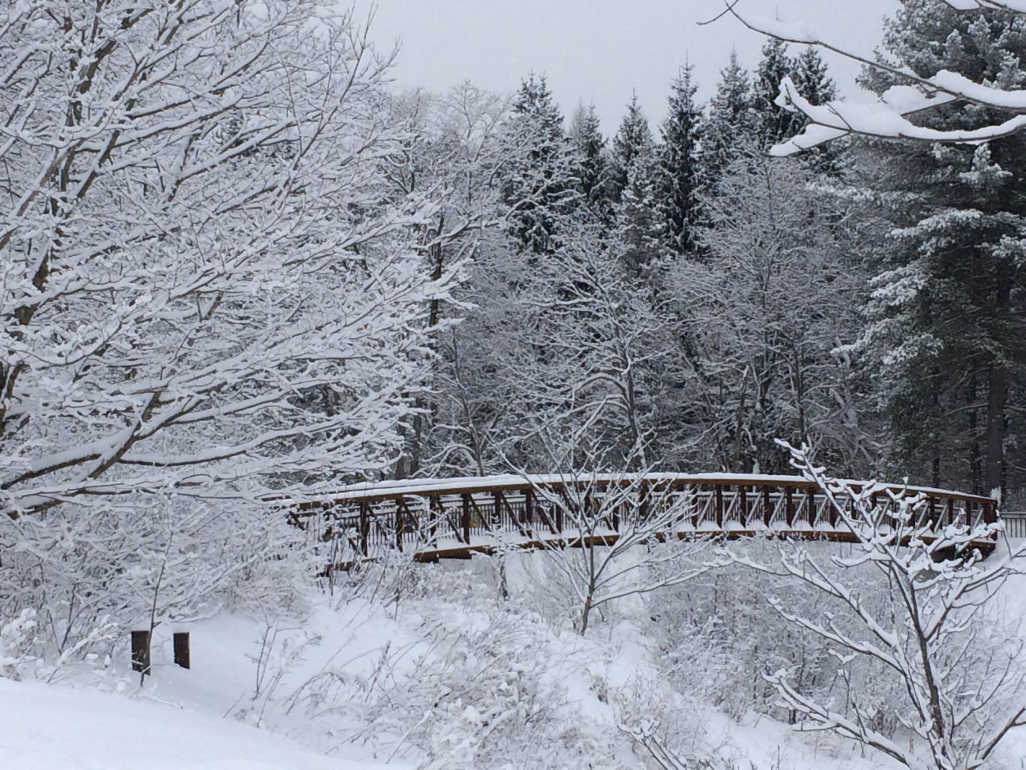 Le parc de la Gatineau