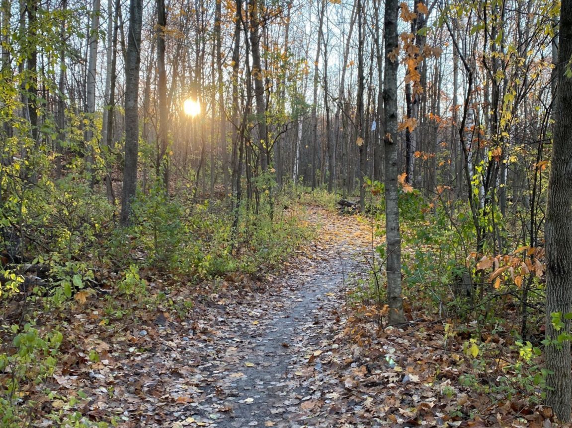 Gatineau Park’s in-between season: What to expect and how to enjoy it