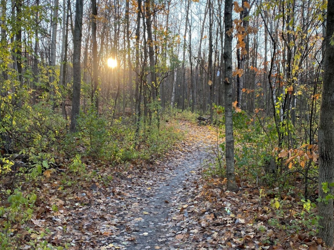 Gatineau Park trails in the in-between season