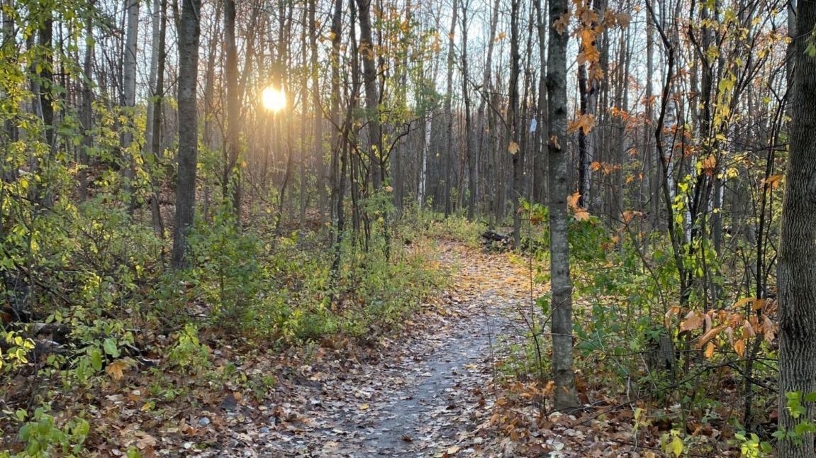 Sentier du parc de la Gatineau pendant l'entre-deux saison