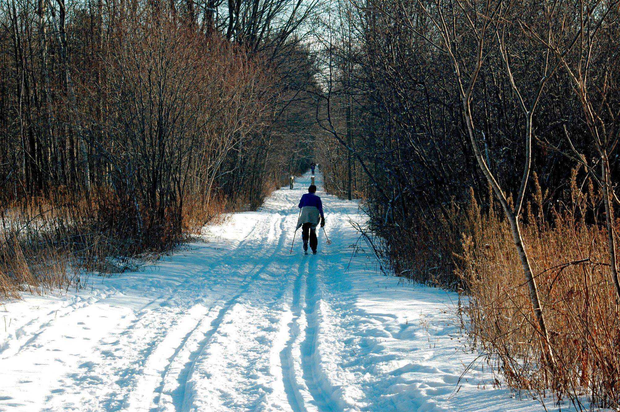 ski tracks on a greenbelt trail and a skier in the background