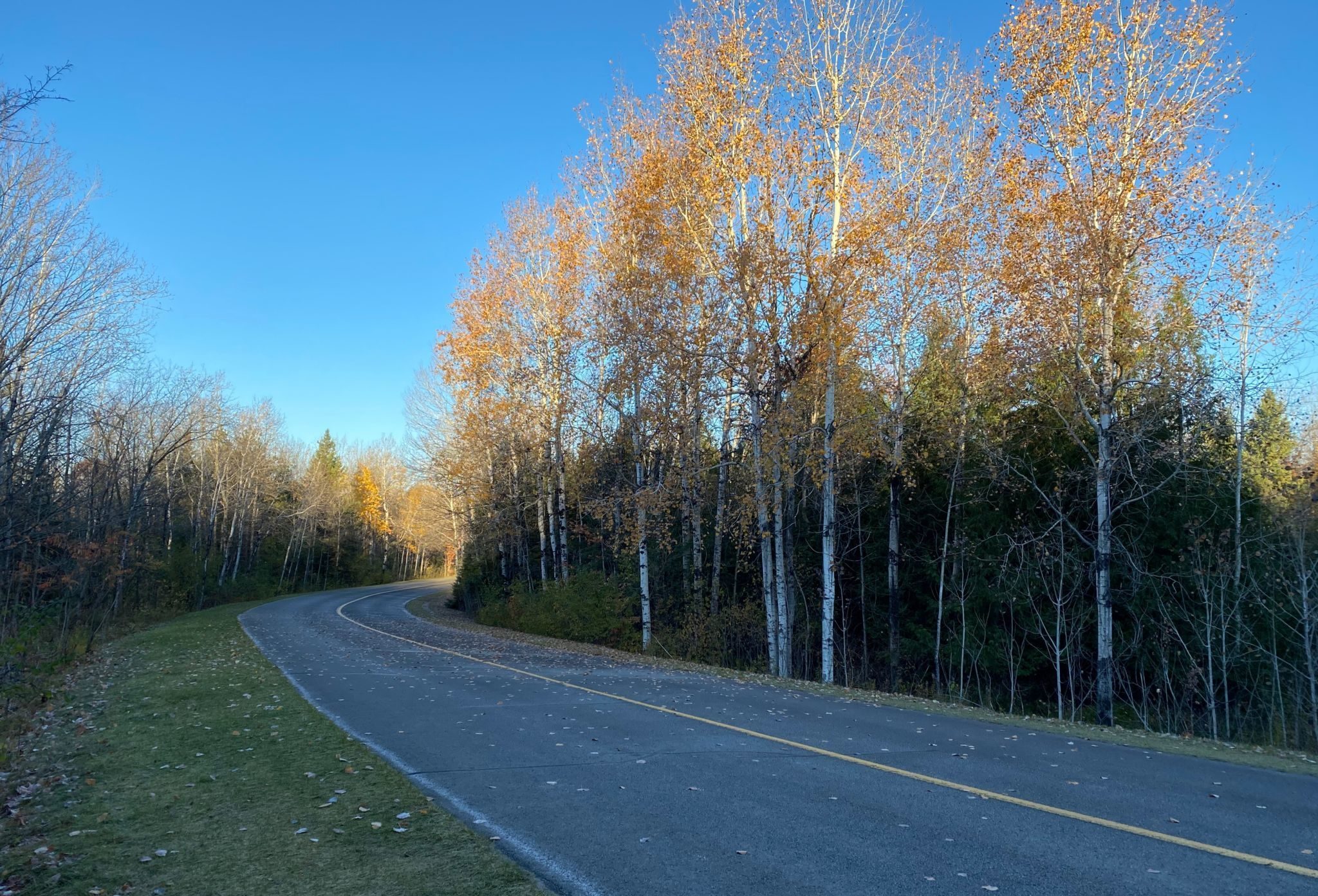 Gatineau Park parkway