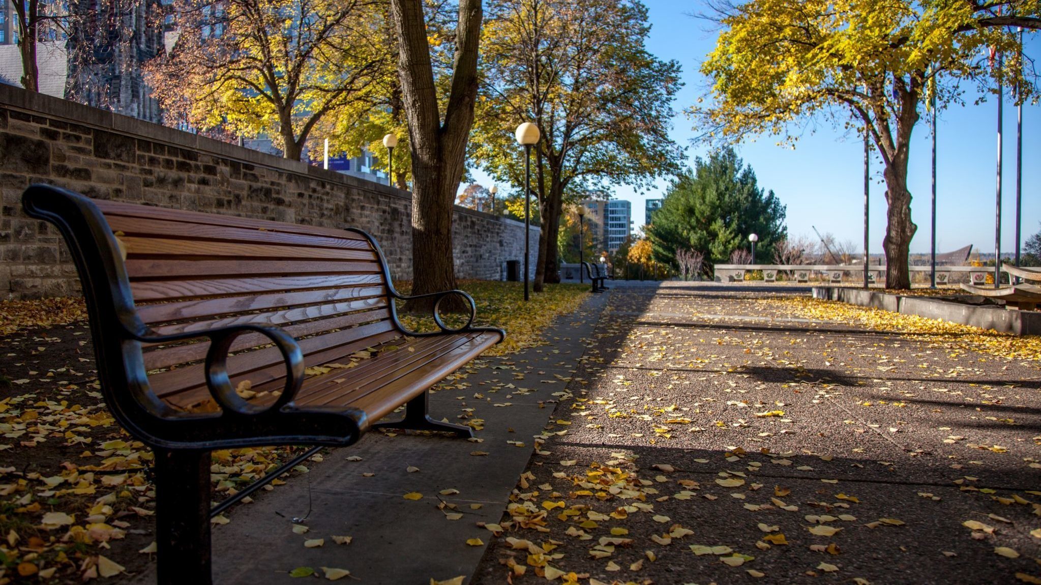Bancs au Jardin des provinces et des territoires en automne.