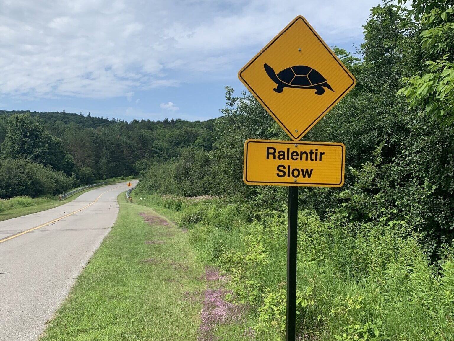 Panneau de ralentissement avec un pictogramme de tortue, sur une route déserte du parc de la Gatineau.