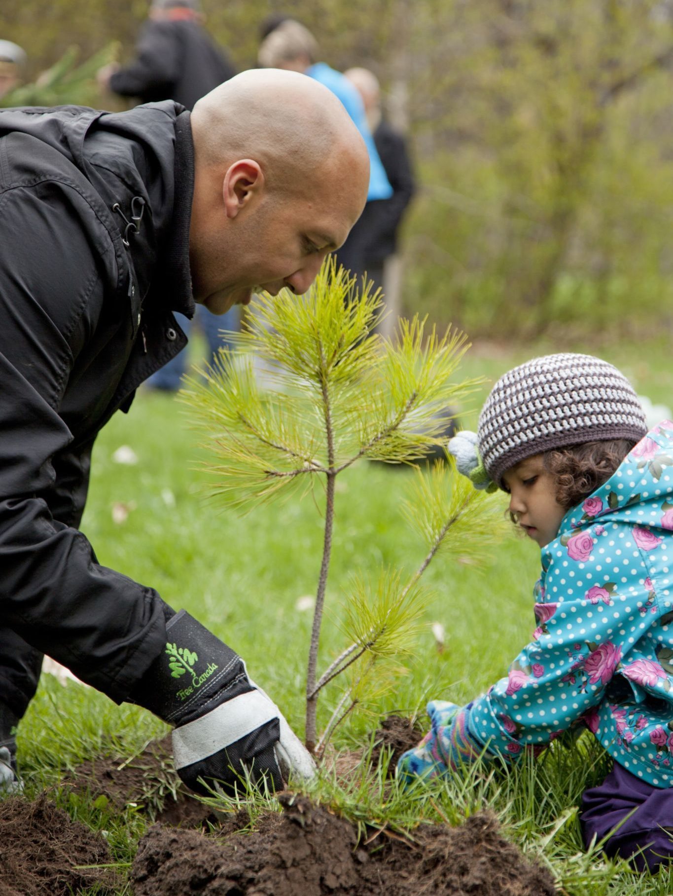 Un adulte et un enfant plantent un petit arbre