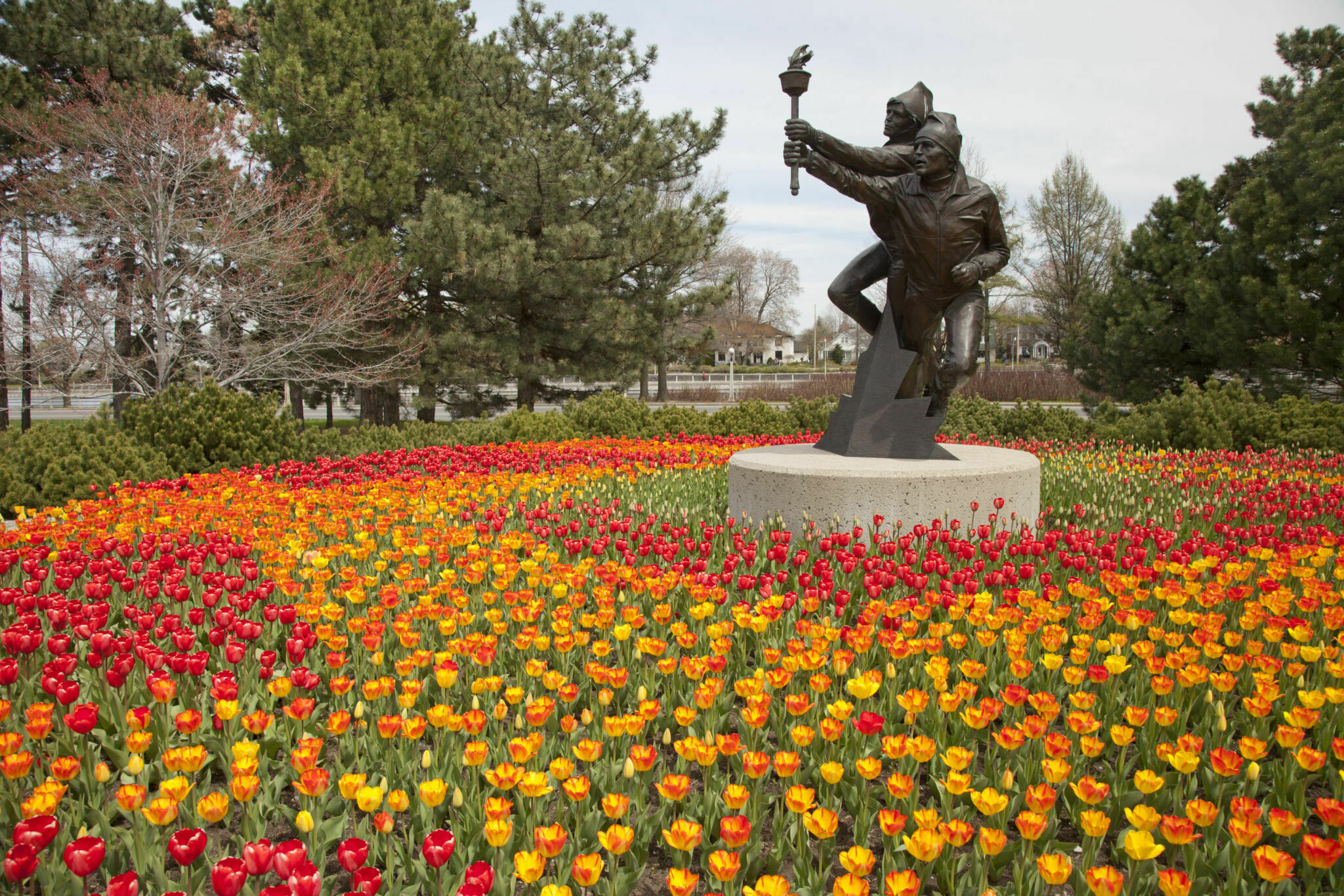 Des tulipes jaunes, orange et rouges entourant une statue de bronze portant une torche olympique au Jardin olympique.
