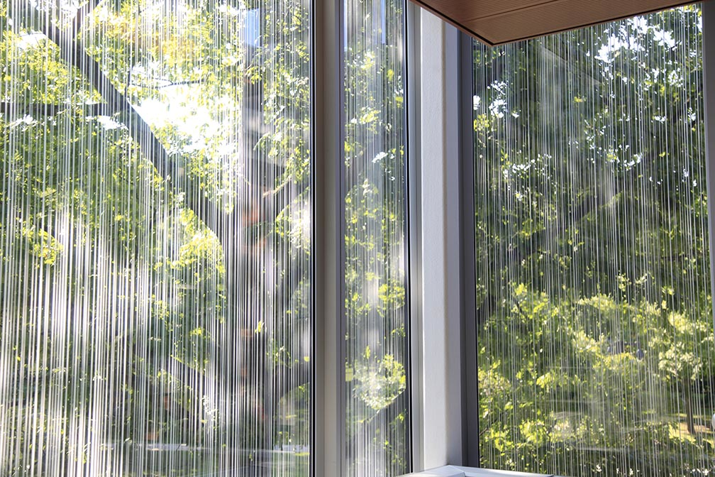 Lignes directrices de conception sûre pour les oiseaux