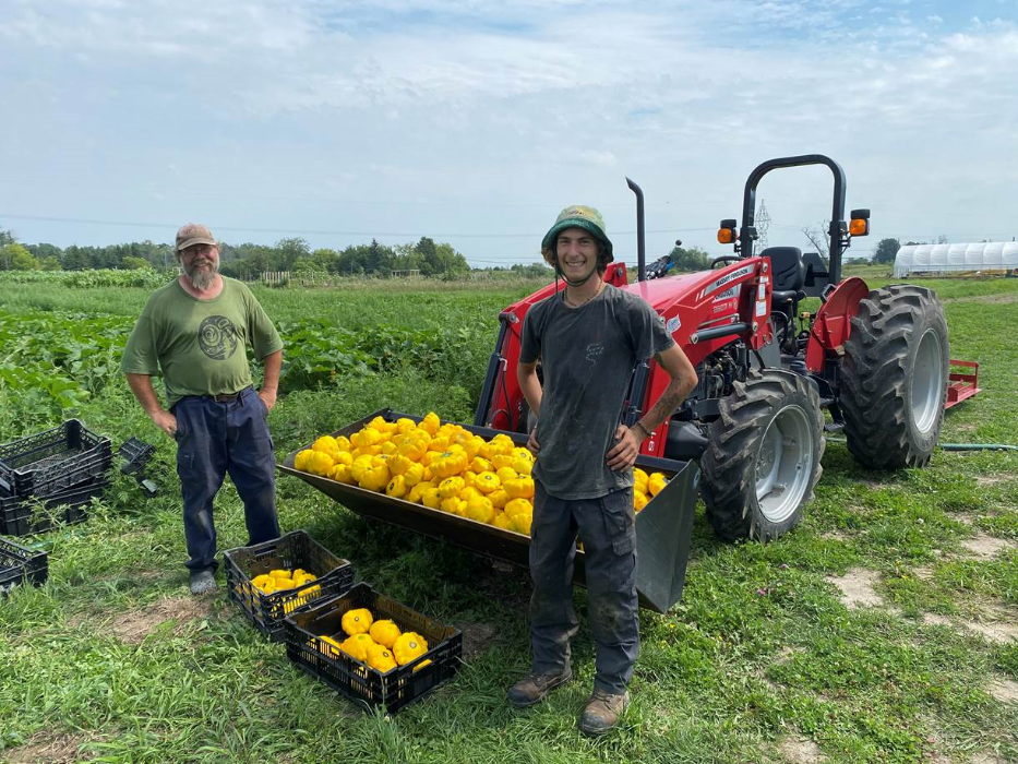 M. Milsom et un jeune travailleur agricole prenant fièrement la pause dans un champ, devant deux caisses et la pelle d’un tracteur remplies de poivrons jaunes