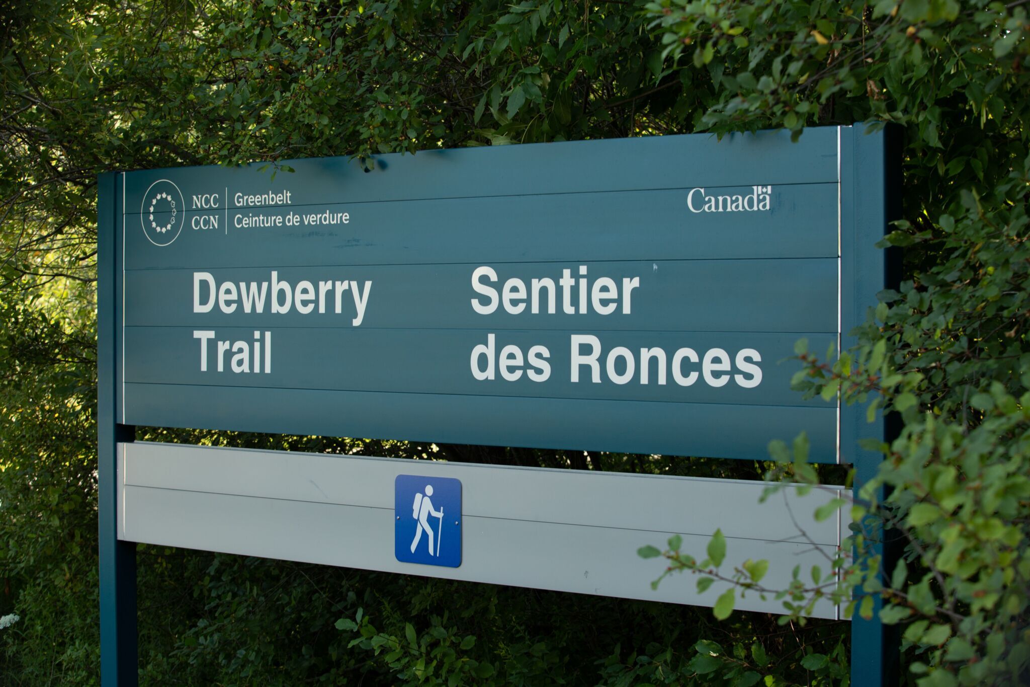 Sign for Dewberry Trail