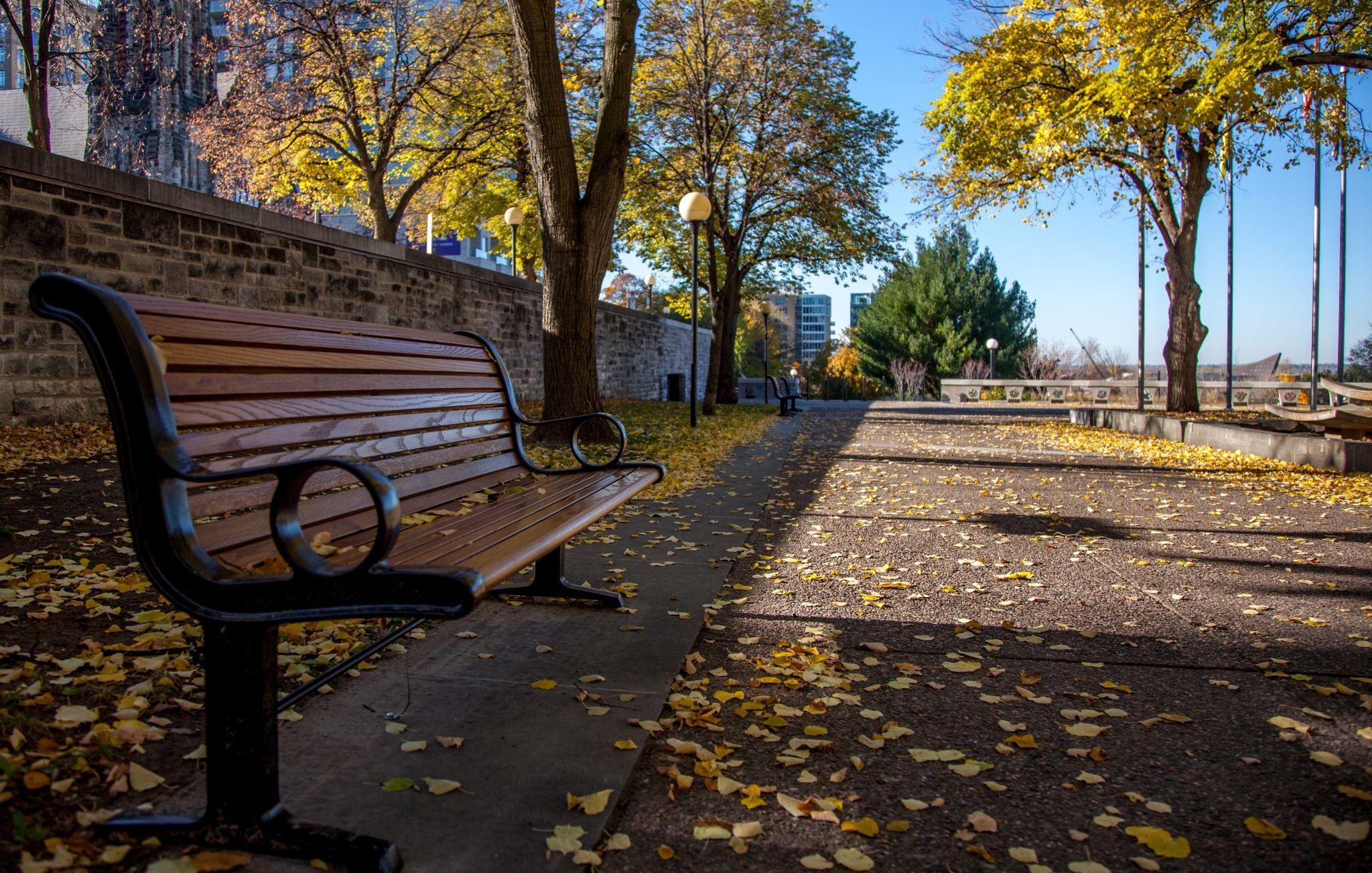 Park Bench Dedication