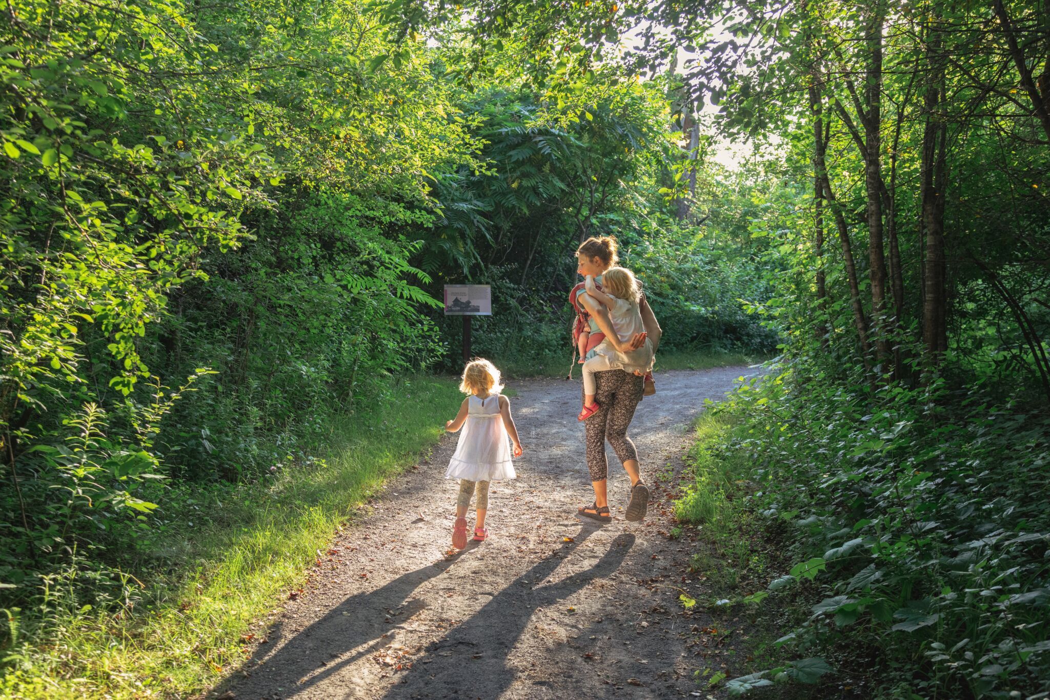 People walking on a 2 m-wide, hard-packed trail, with thick forest on either side.