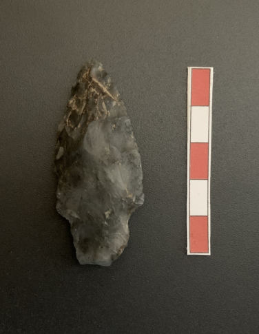Projectile point with an ovate blade and medium rounded stem