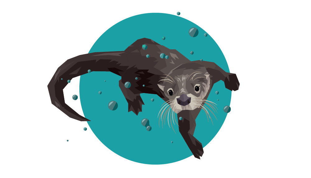 North American River Otter