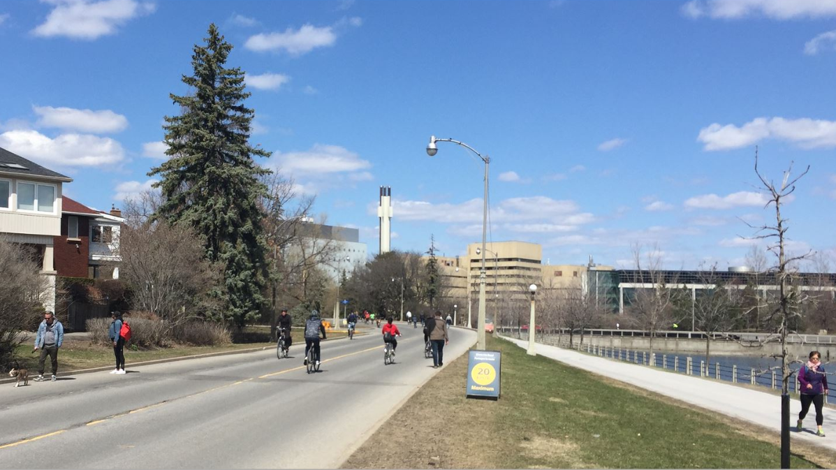 Pedestrians and cyclists on the Queen Elizabeth Driveway