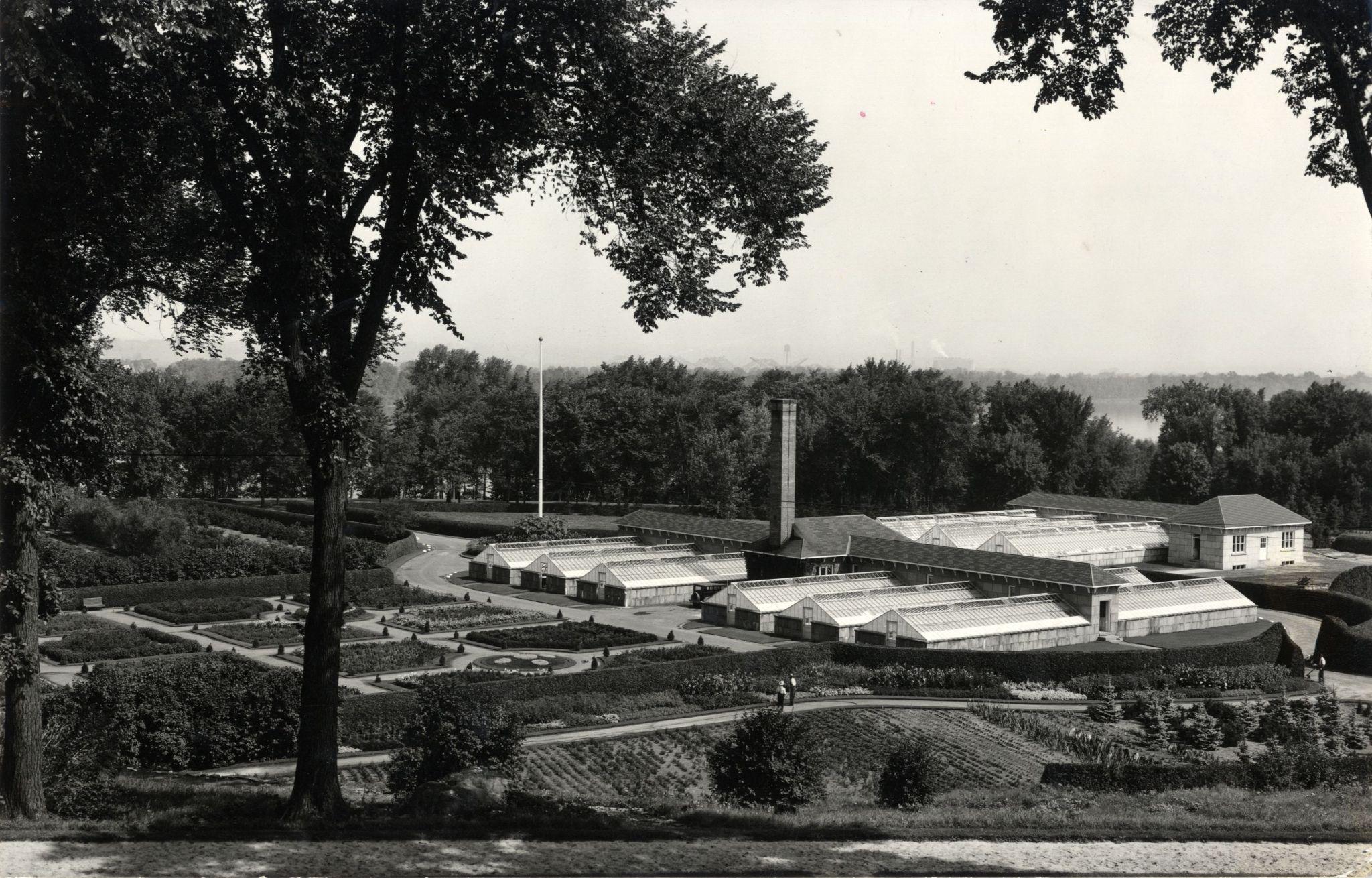 Serres et pépinières du chemin Springfield, Rockcliffe. Août 1939. Crédit : Commission de la capitale nationale, collection Gréber