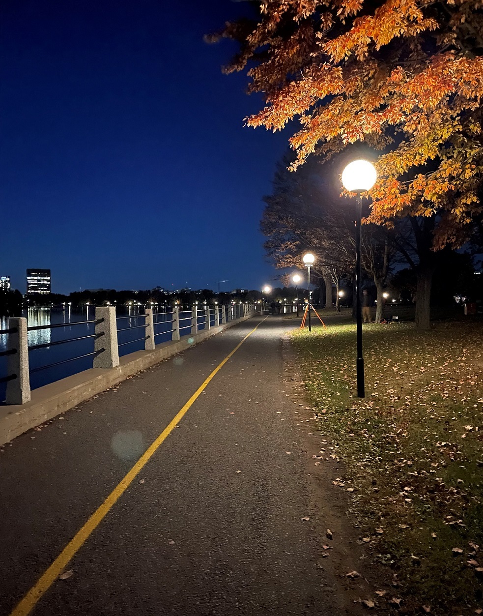 Réfection de l’éclairage le long du canal Rideau