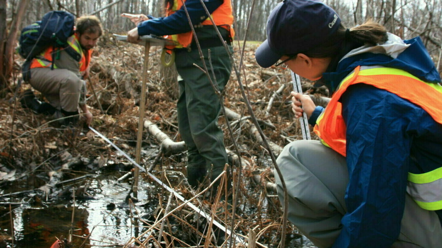 Biologists at work in the forest