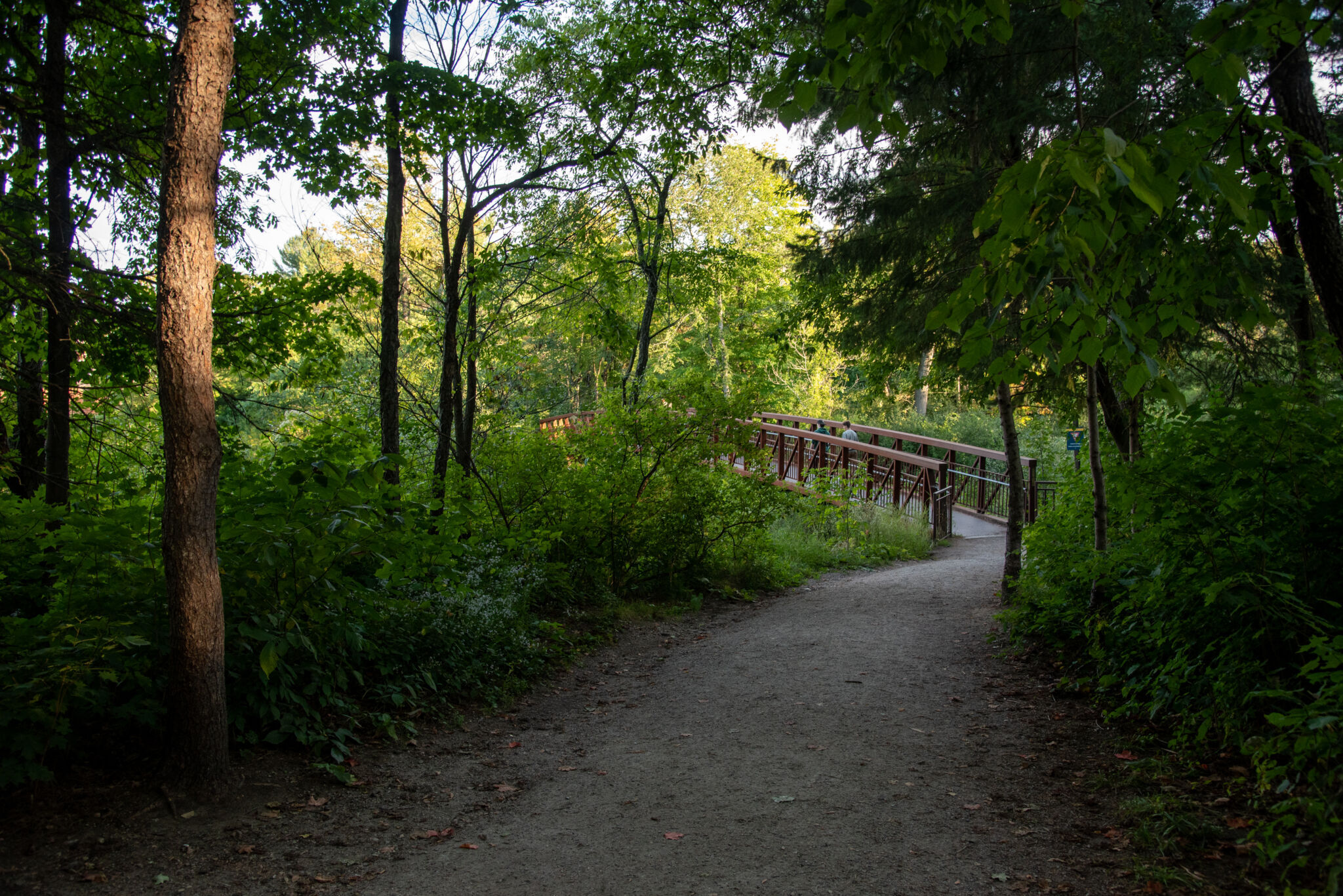 A hard-packed dirt trail leading to a slight slope and bridge through a dense forest.