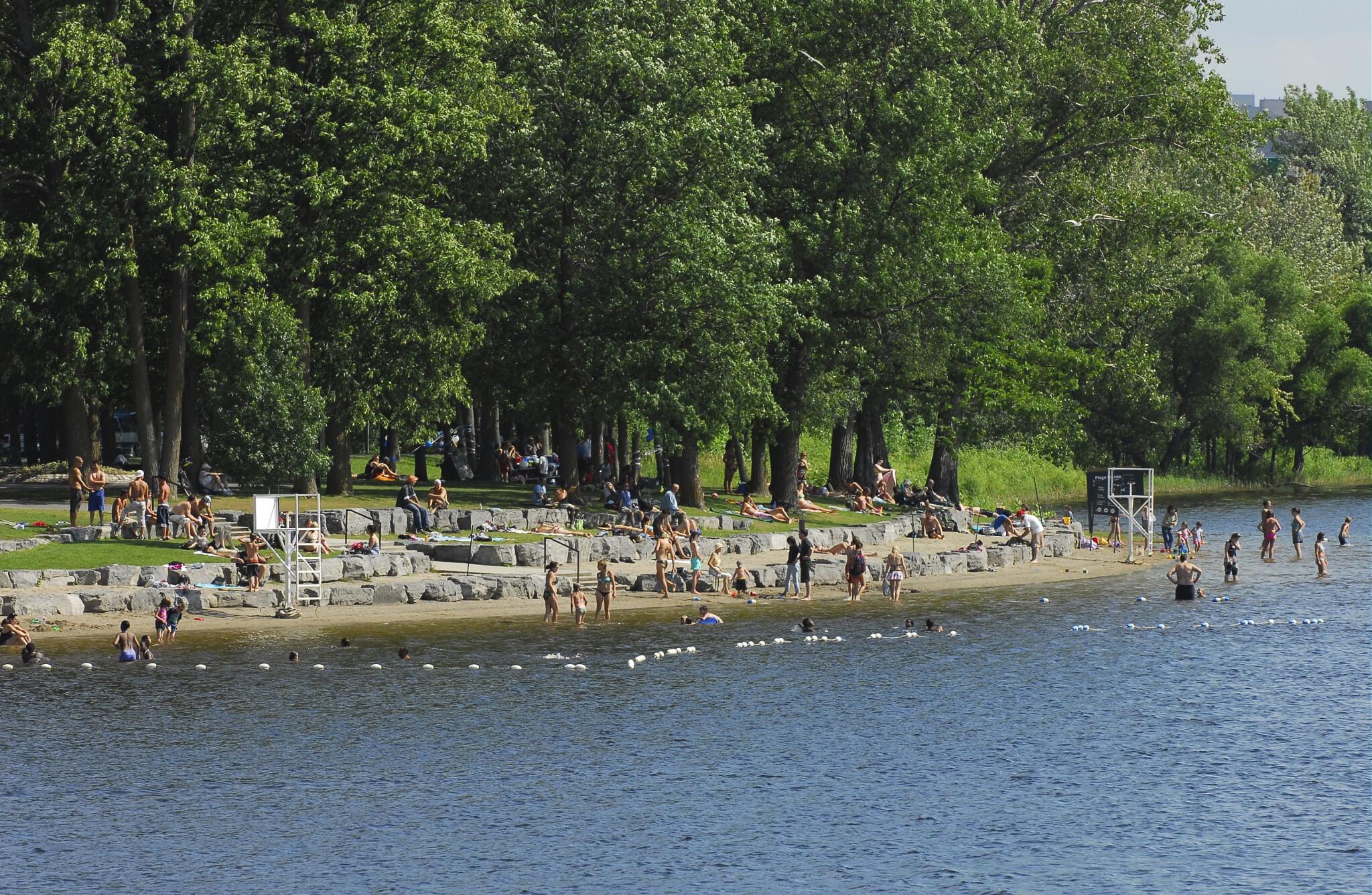 Swimmers at Lac Leamy beach