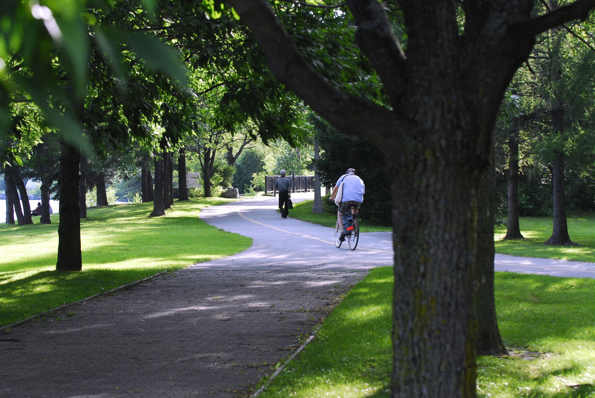 Cyclist and pedestrian on the path across Portageurs Park in summer.