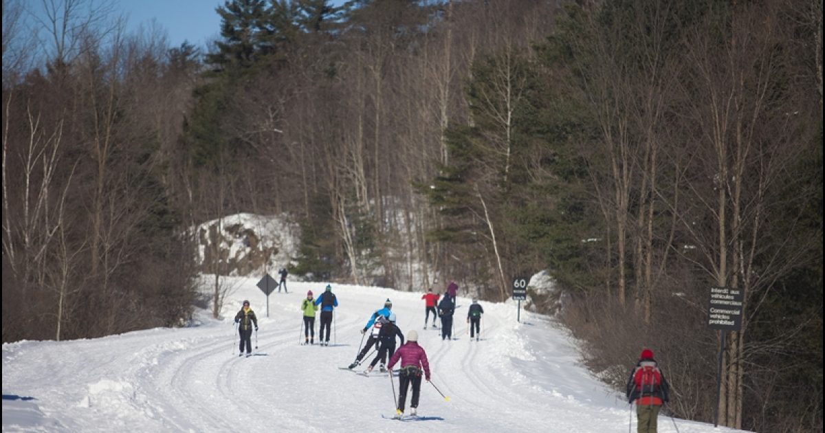 Parc De La Gatineau Circuits De Ski De Fond Commission De La Capitale Nationale